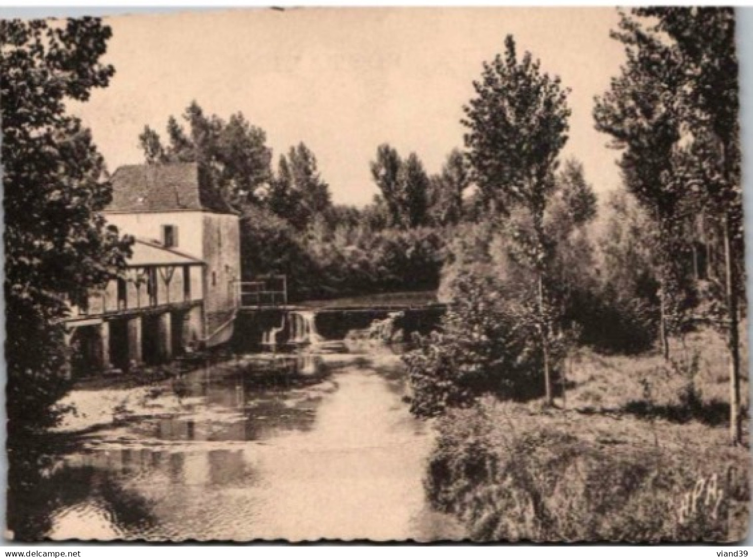 SAINT PALAIS. -  Bords De La Joyeuse Et Vieux Moulin. -  Non écrite. - Saint Palais