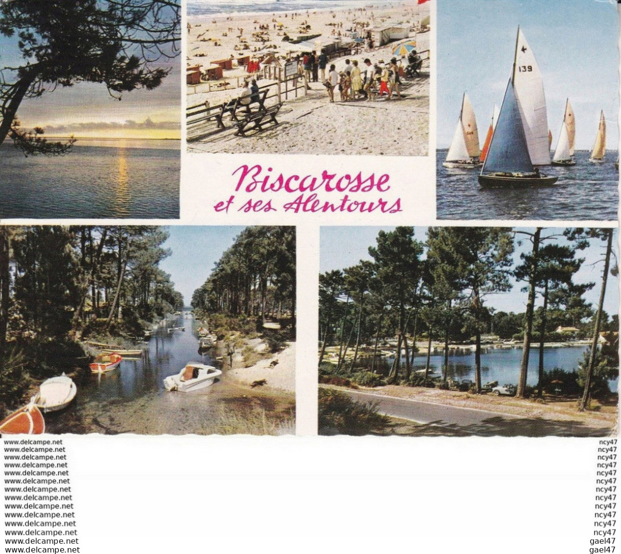 CPSM/gf.(40)  BISCAROSSE.  Et Ses Alentours, Multivues. ..D671 - Biscarrosse