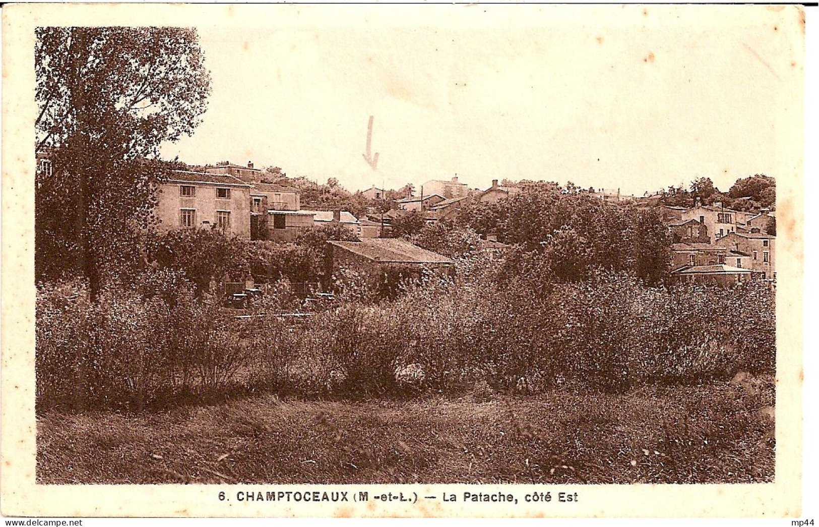 1D3 --- 49 CHAMPTOCEAUX La Patache - Champtoceaux
