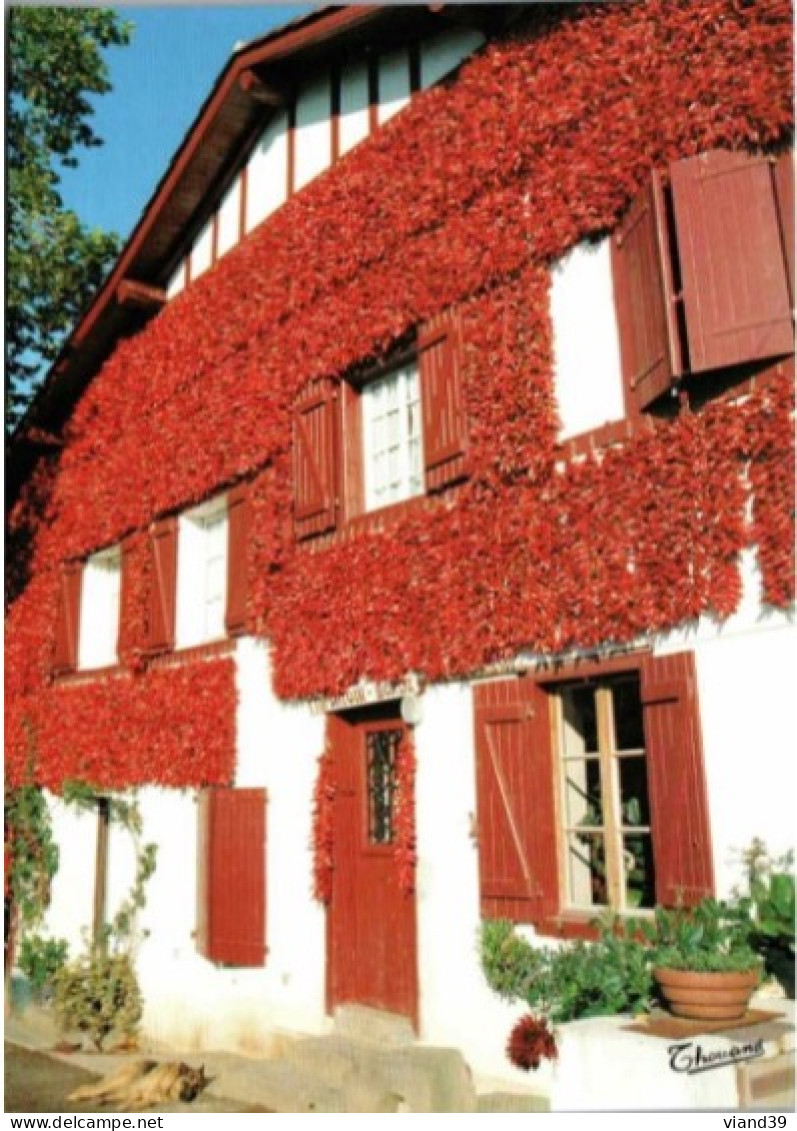 ESPELETTE. -  Ferme Ttipitoin Borda. -  Séchage Du Piment Sur La Façade . -  Non écrite. - Espelette