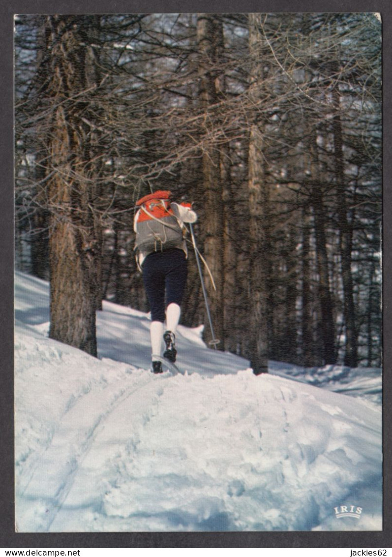 095776/ Ski Nordique - Sports D'hiver