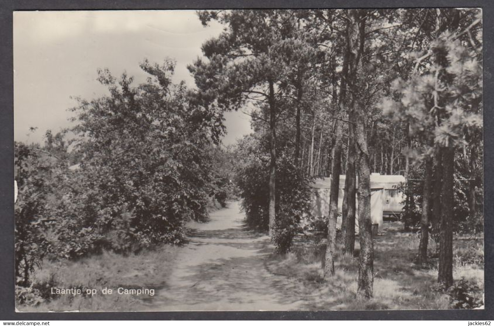 125168/ MILHEEZE, Vakantie-oord *De Peel*, Laantje Op De Camping - Gemert