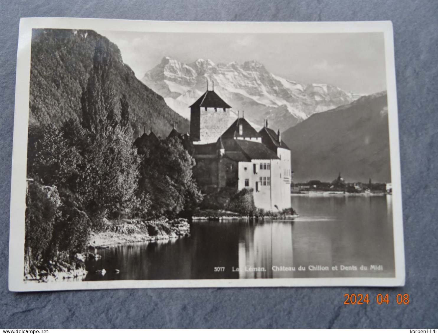 CHATEAU DE CHILLON ET DENTS DU MIDI - Veytaux