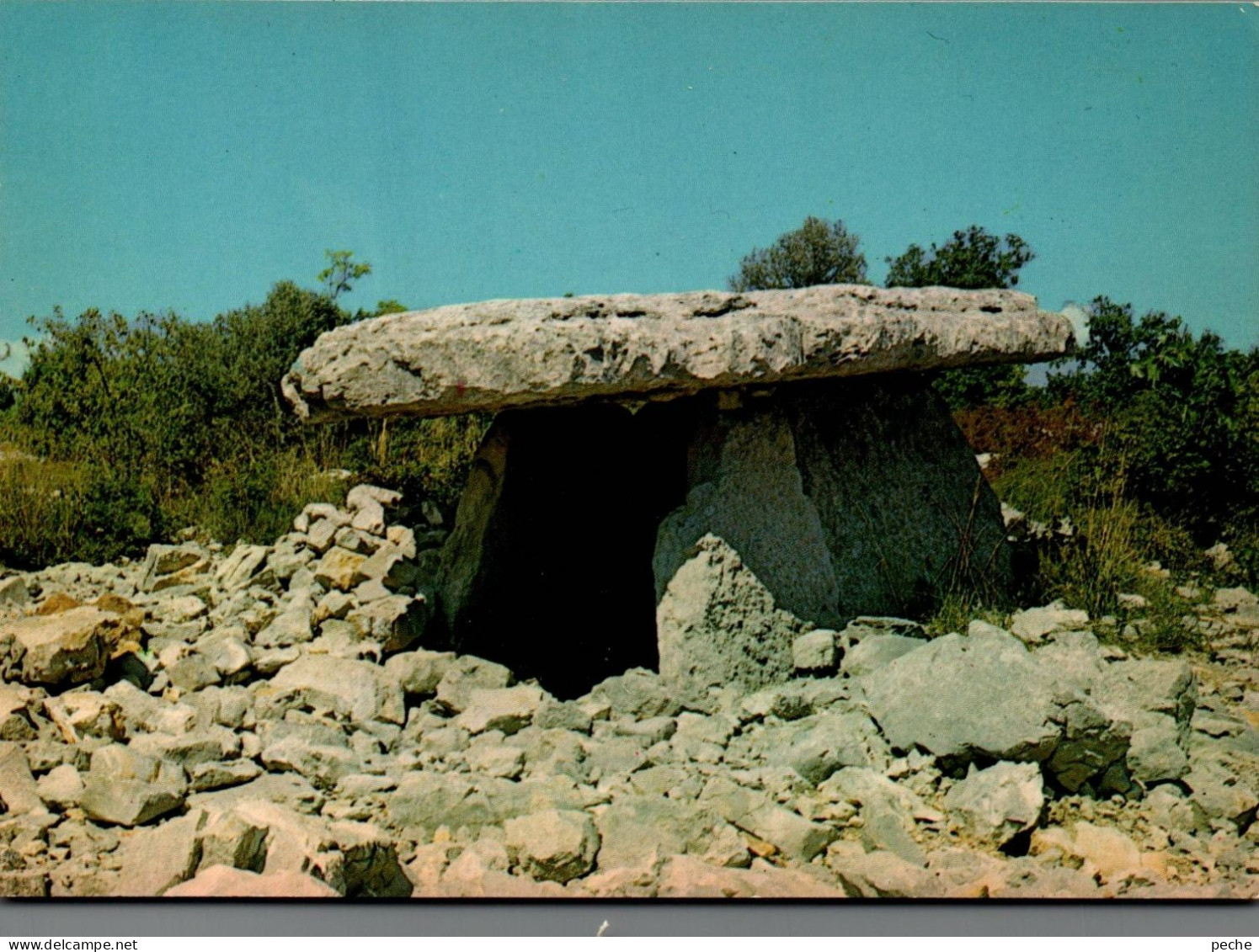 N°983 Z -cpsm Saint Alban Sous Sampzon -un Beau Dolmen- - Dolmen & Menhirs