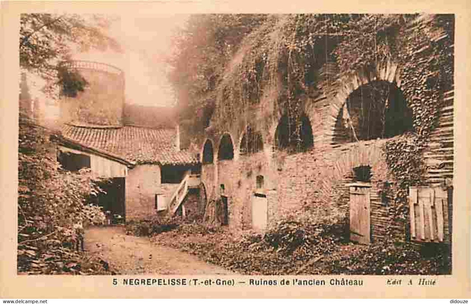 82 - Nègrepelisse - Ruines De L'ancien Château - Carte Neuve - CPA - Voir Scans Recto-Verso - Negrepelisse