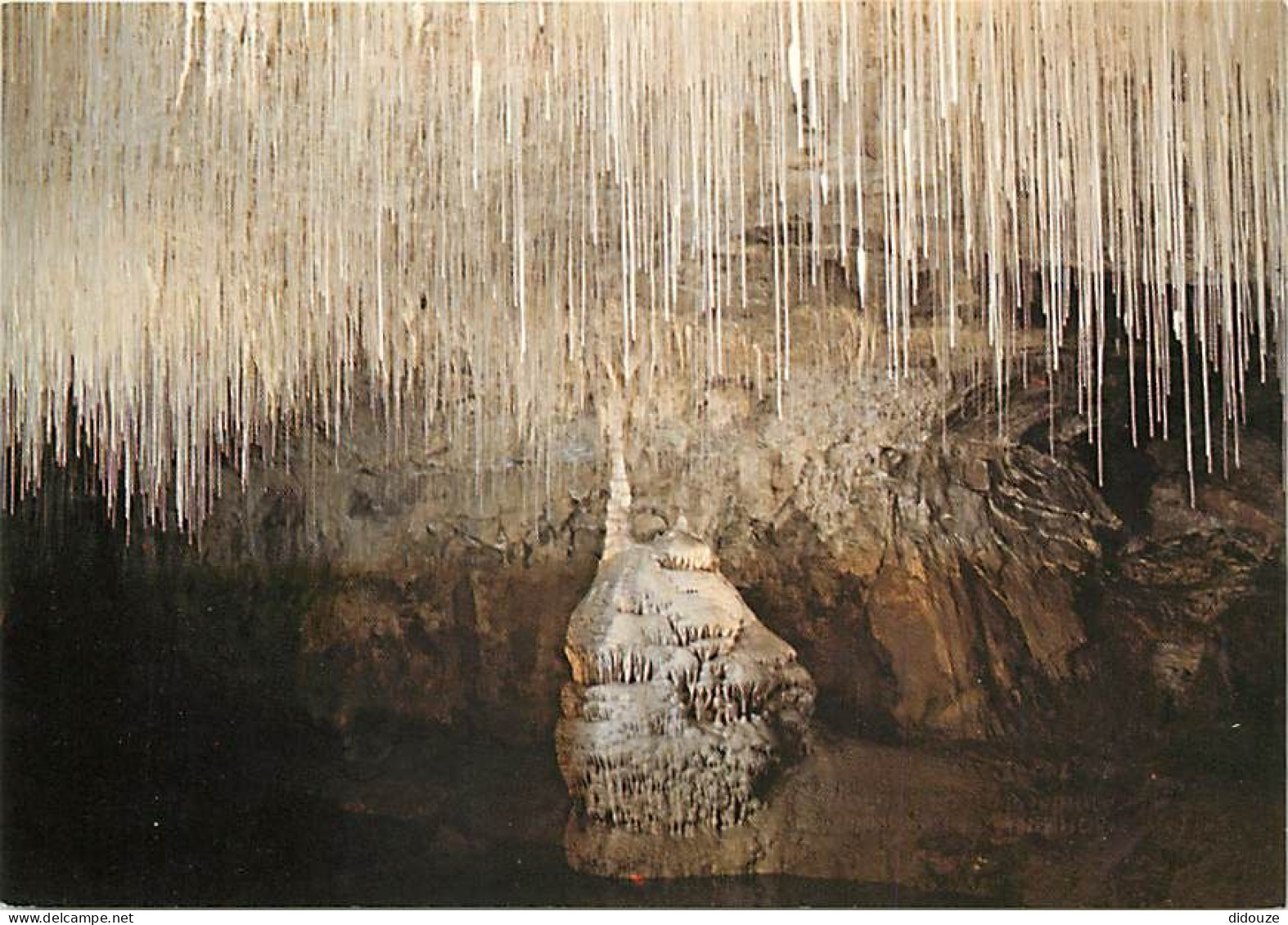 38 - Pont En Royans - Grottes De Choranche - Galerie Du Siphon - Spéléologie - Curiosité Géologique - Carte Neuve - CPM  - Pont-en-Royans