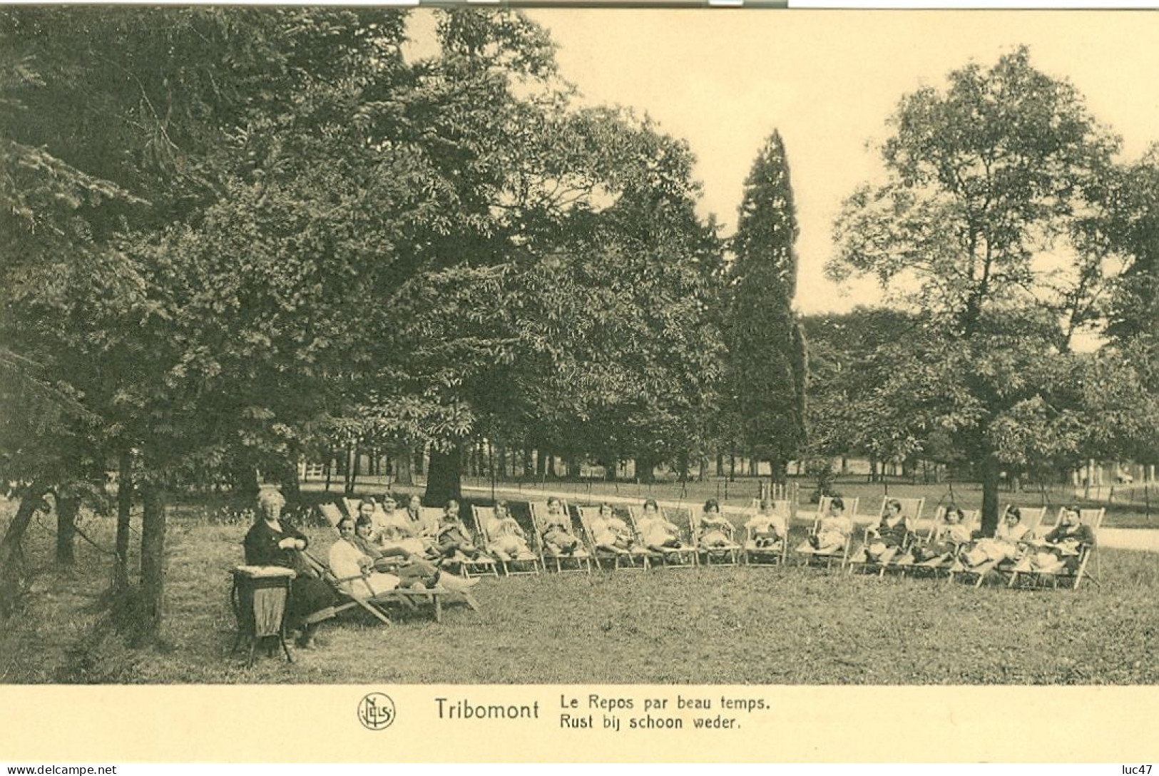 2 Cartes Du Domaine De Tribomont   Wegnez - Pepinster