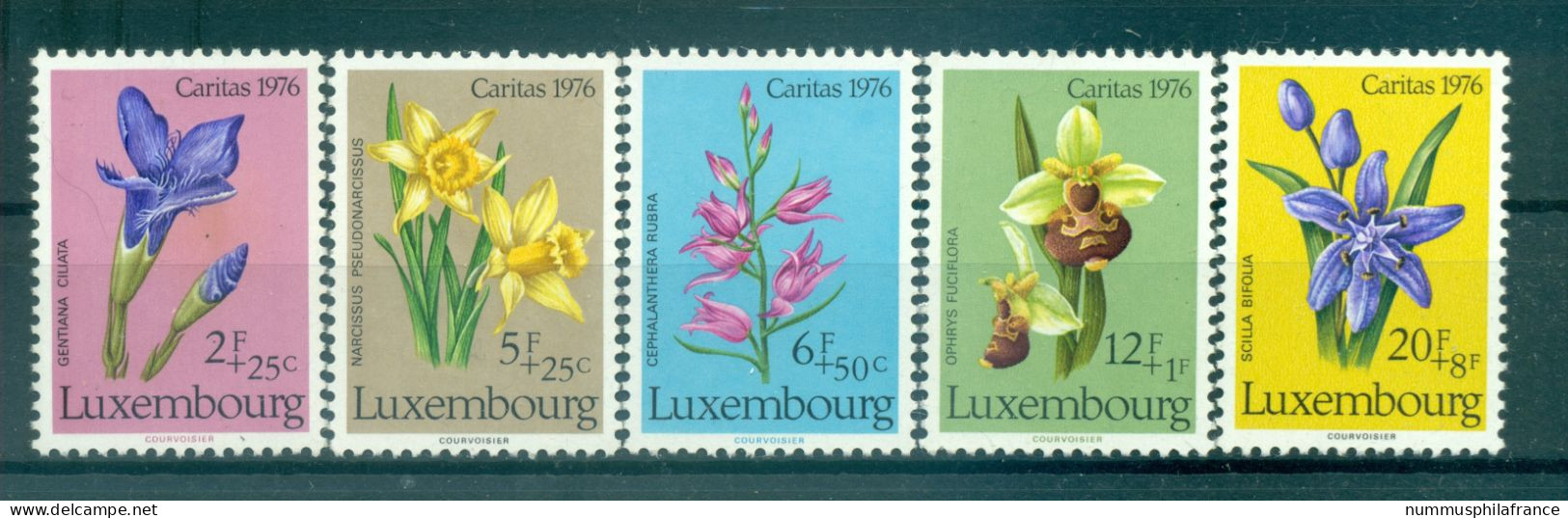 Luxembourg 1976 - Y & T N. 886/90 - Caritas (Michel N. 936/40) - Neufs