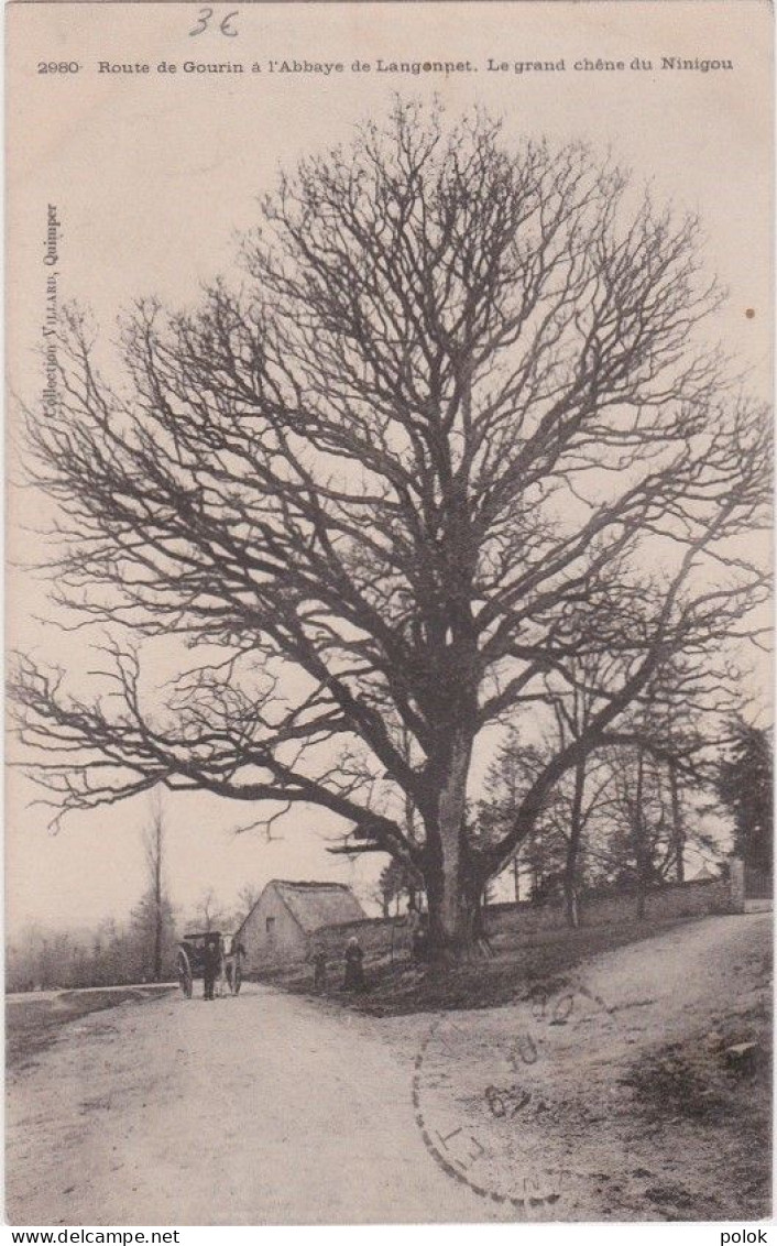 Cn – Cpa Route Gourin à L'Abbaye De Langonnet – Le Grand Chêne Du Ninigou - Gourin