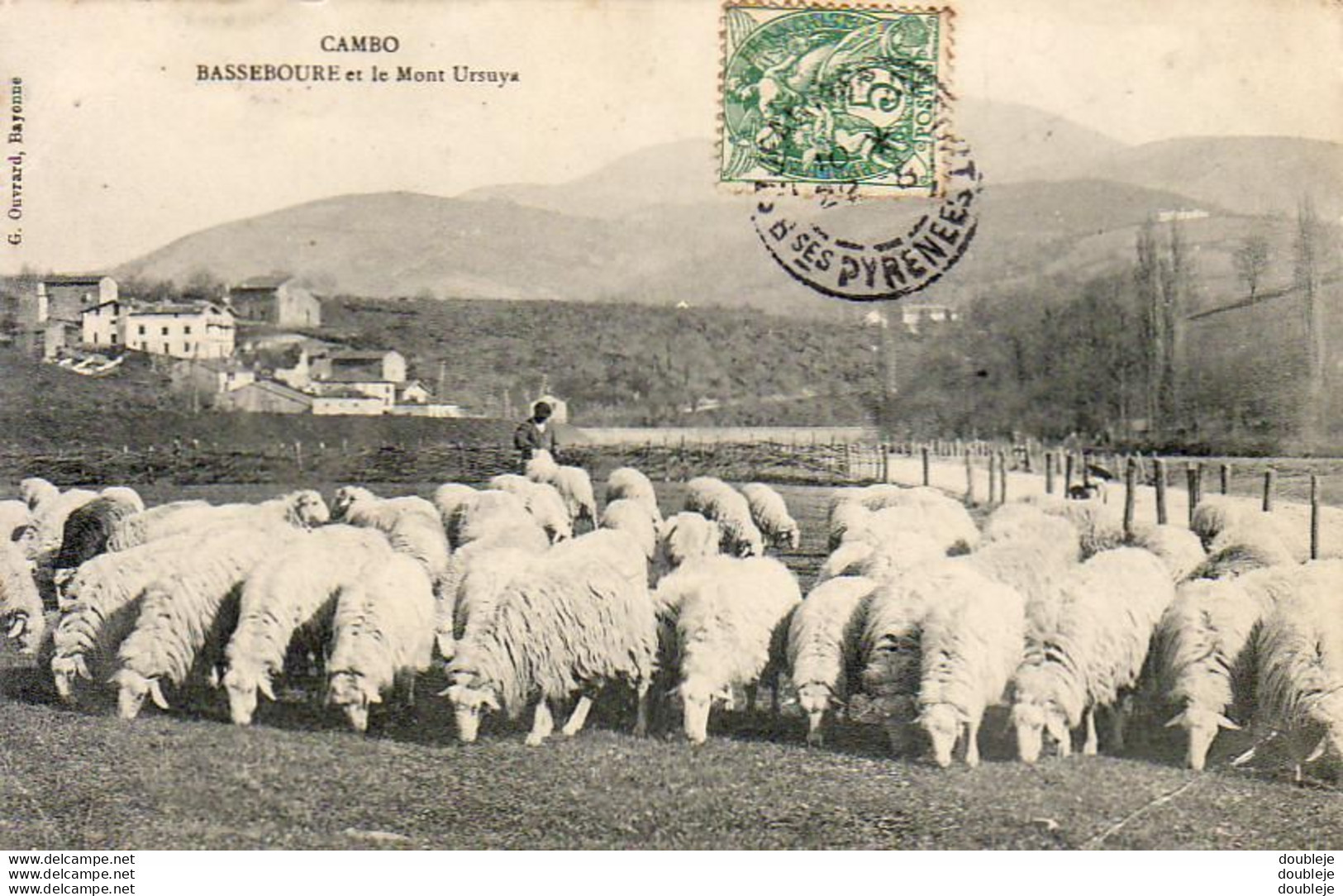 D64  CAMBO BASSEBOURE Et Le Mont Ursuya  ....... Avec Troupeau De Moutons  Genre Mérinos - Cambo-les-Bains