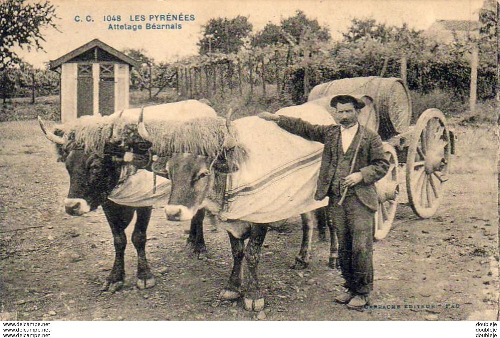 D64 LES PYRÉNÉES Attelage Béarnais - Bearn