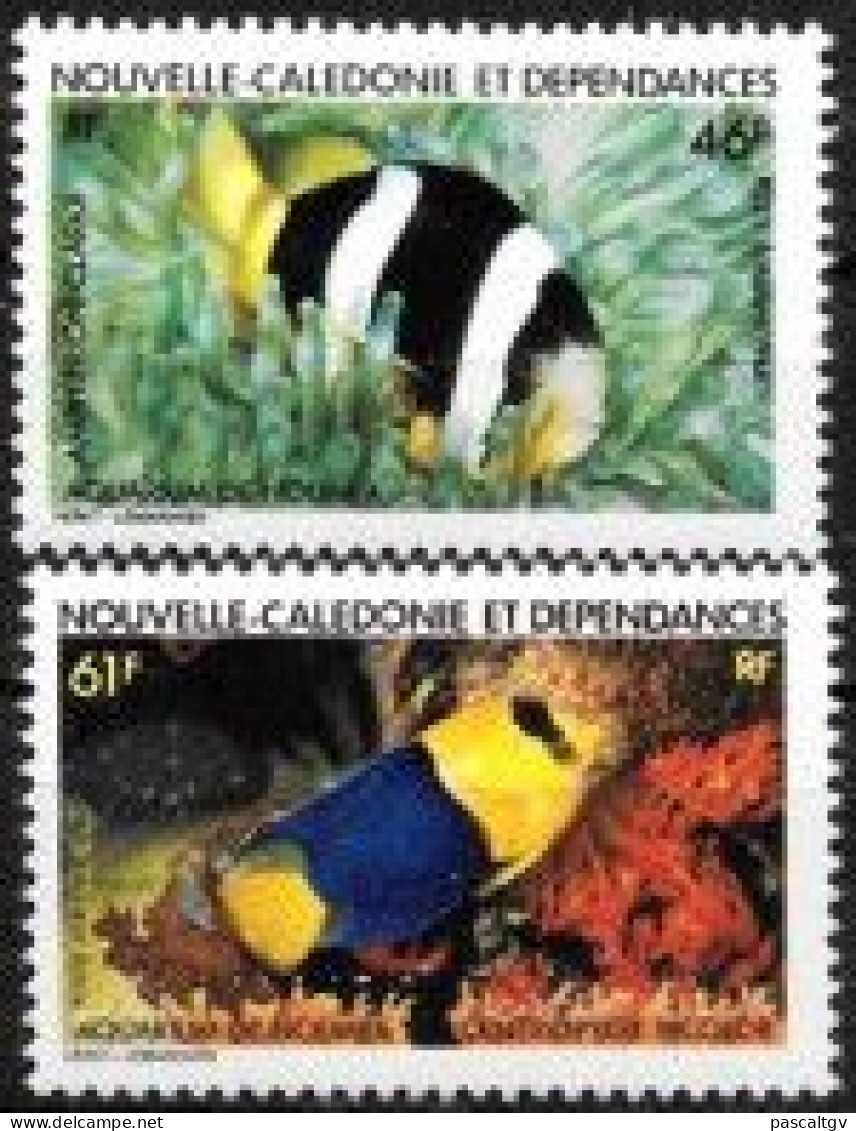 Nouvelle Calédonie - 1984 - PA Paire N° 236/237 ** - Unused Stamps