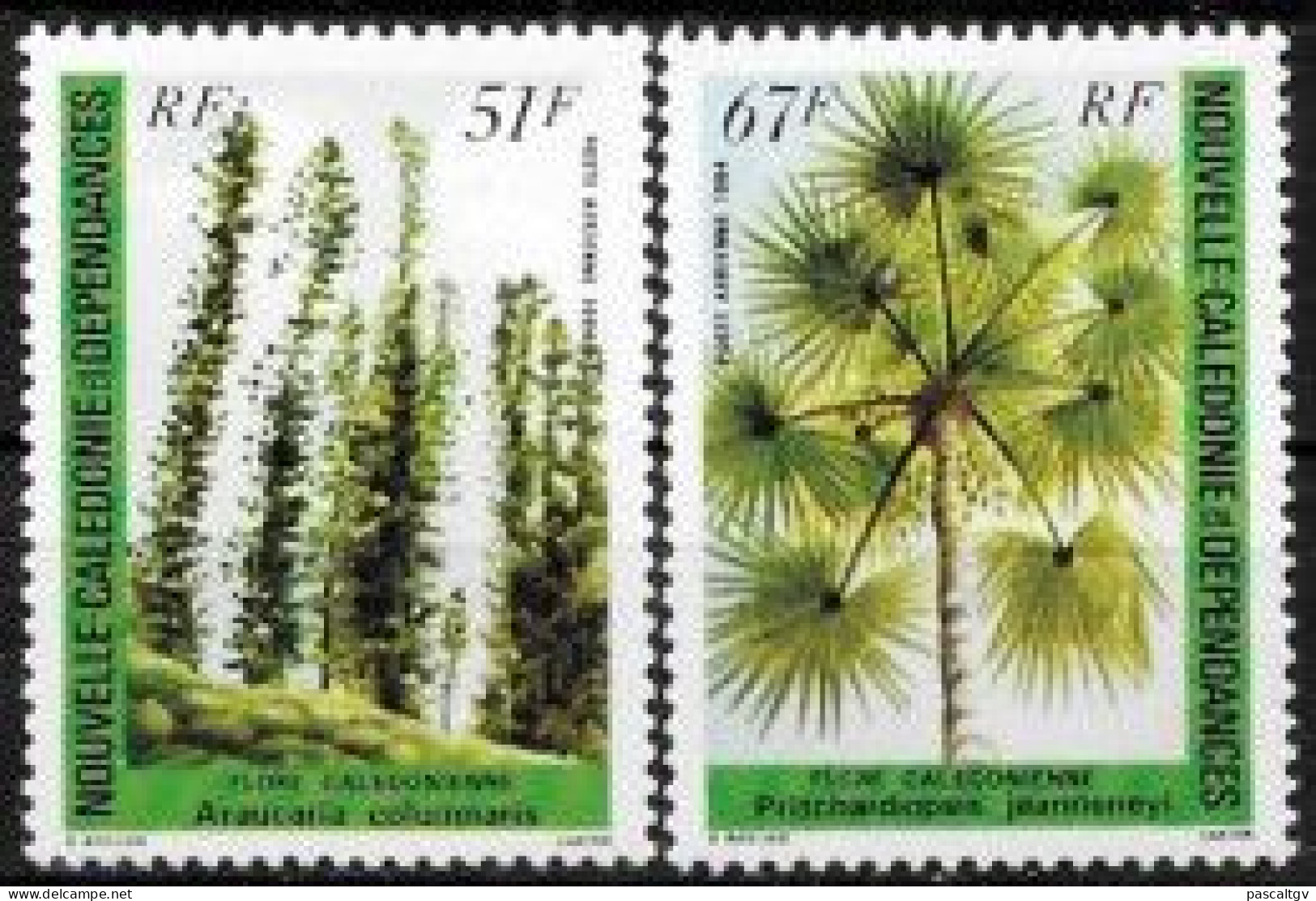 Nouvelle Calédonie - 1984 - PA Paire N° 238/239 ** - Unused Stamps