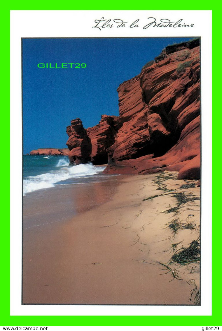 ILES DE LA MADELEINE, QUÉBEC - PLAGE ET FALAISE DE DUNE DU SUD - PHOTO, JEAN FRANÇOIS BERGERON - - Non Classés