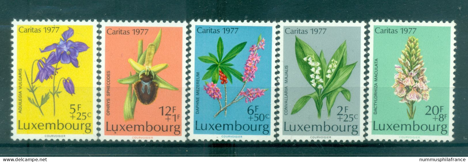 Luxembourg 1977 - Y & T N. 907/11 - Caritas (Michel N. 957/61) - Unused Stamps