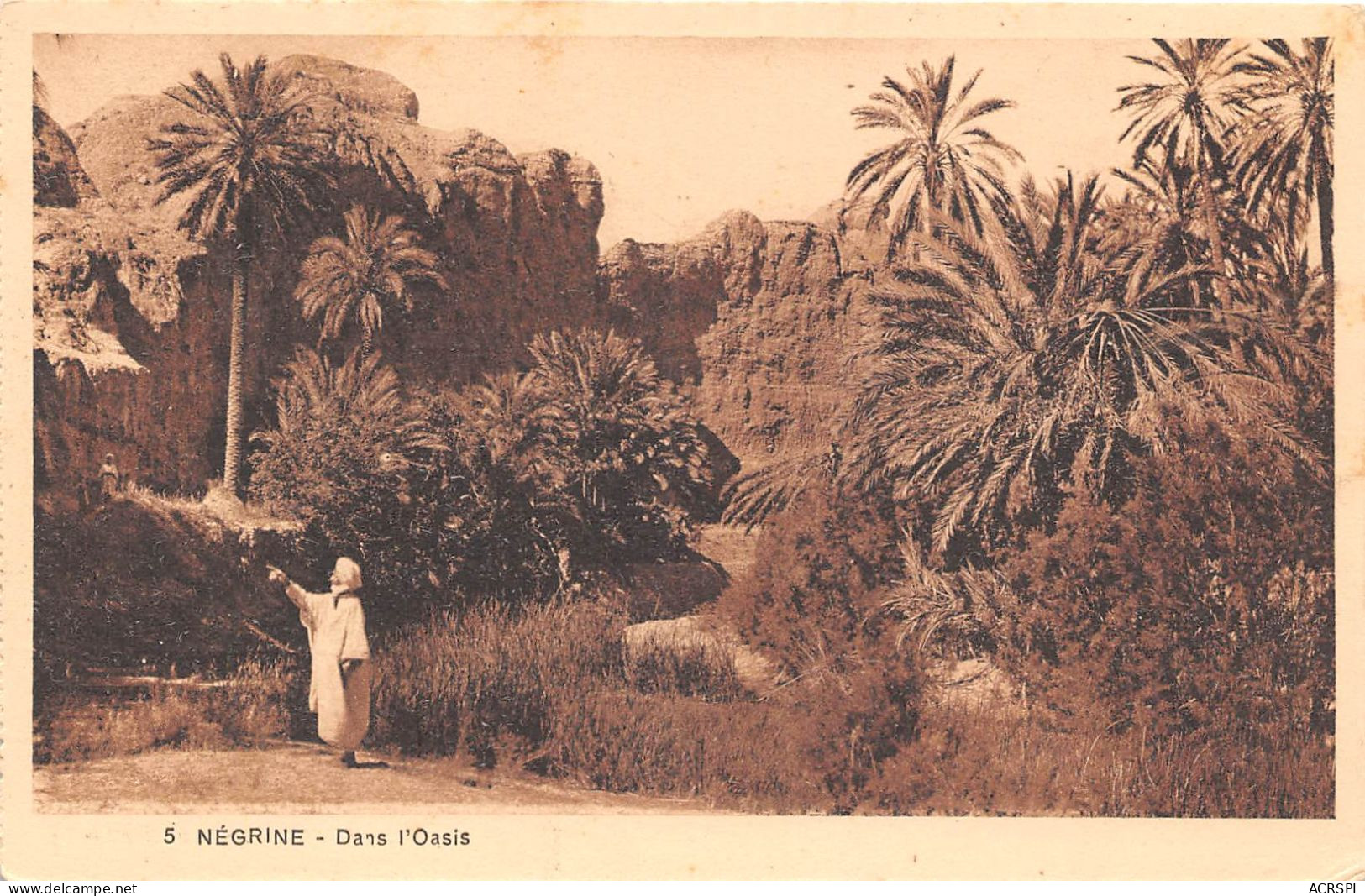 ALGERIE NEGRINE Dans L Oasis 12(scan Recto-verso) MA214 - Mostaganem