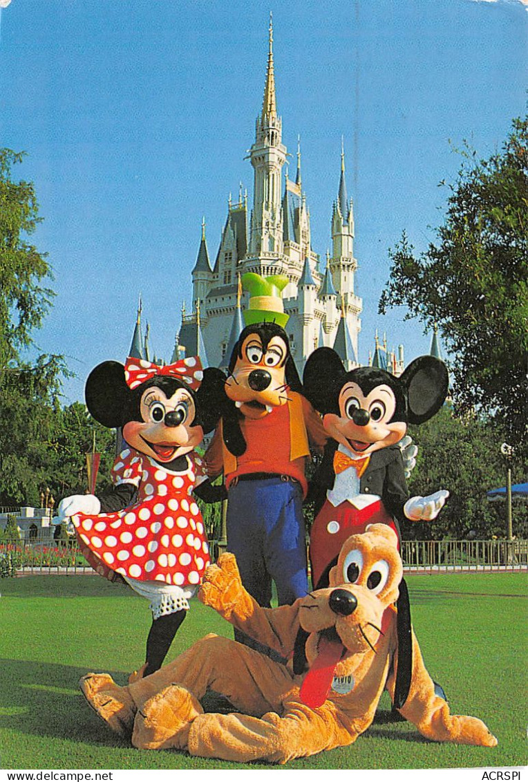 WALT DISNEY  DISNEYLAND Floride HOSTS Of The KINGDOWN Cinderella Castle ORLANDO Usa 40 (scan Recto Verso)MA212BIS - Autres & Non Classés