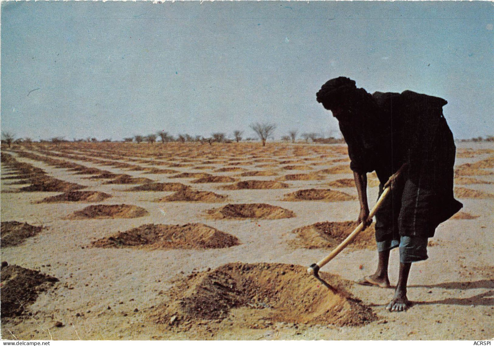 NIGER Planting Shrubs To Improve The Soil S Moisture Retention Niger 12(scan Recto-verso) MA209 - Niger