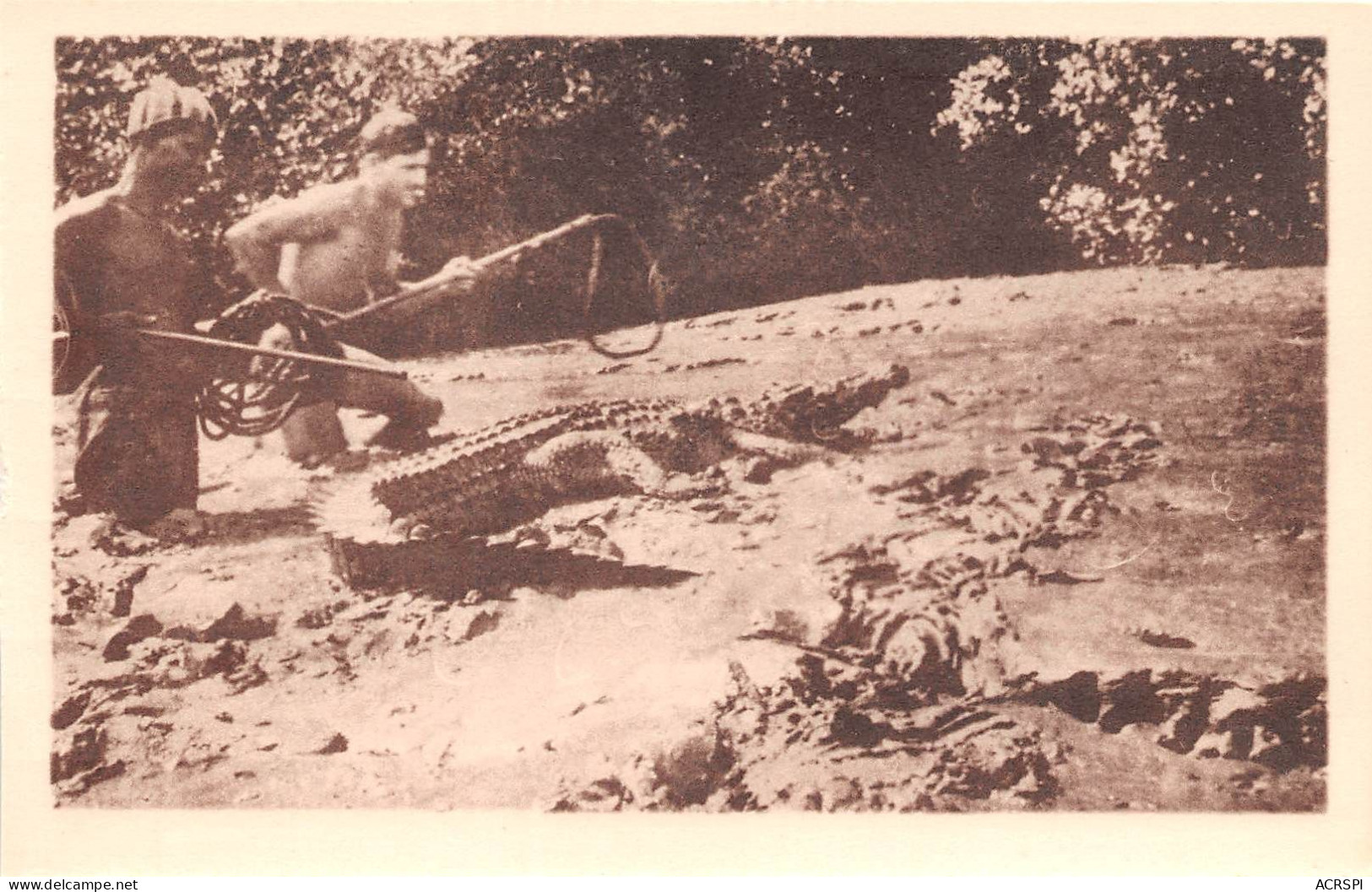 GUINEE FRANCAISE VIALLA FRANCOIS Capture D Un Caiman Dans La Vase 12(scan Recto-verso) MA249 - Guinée Française