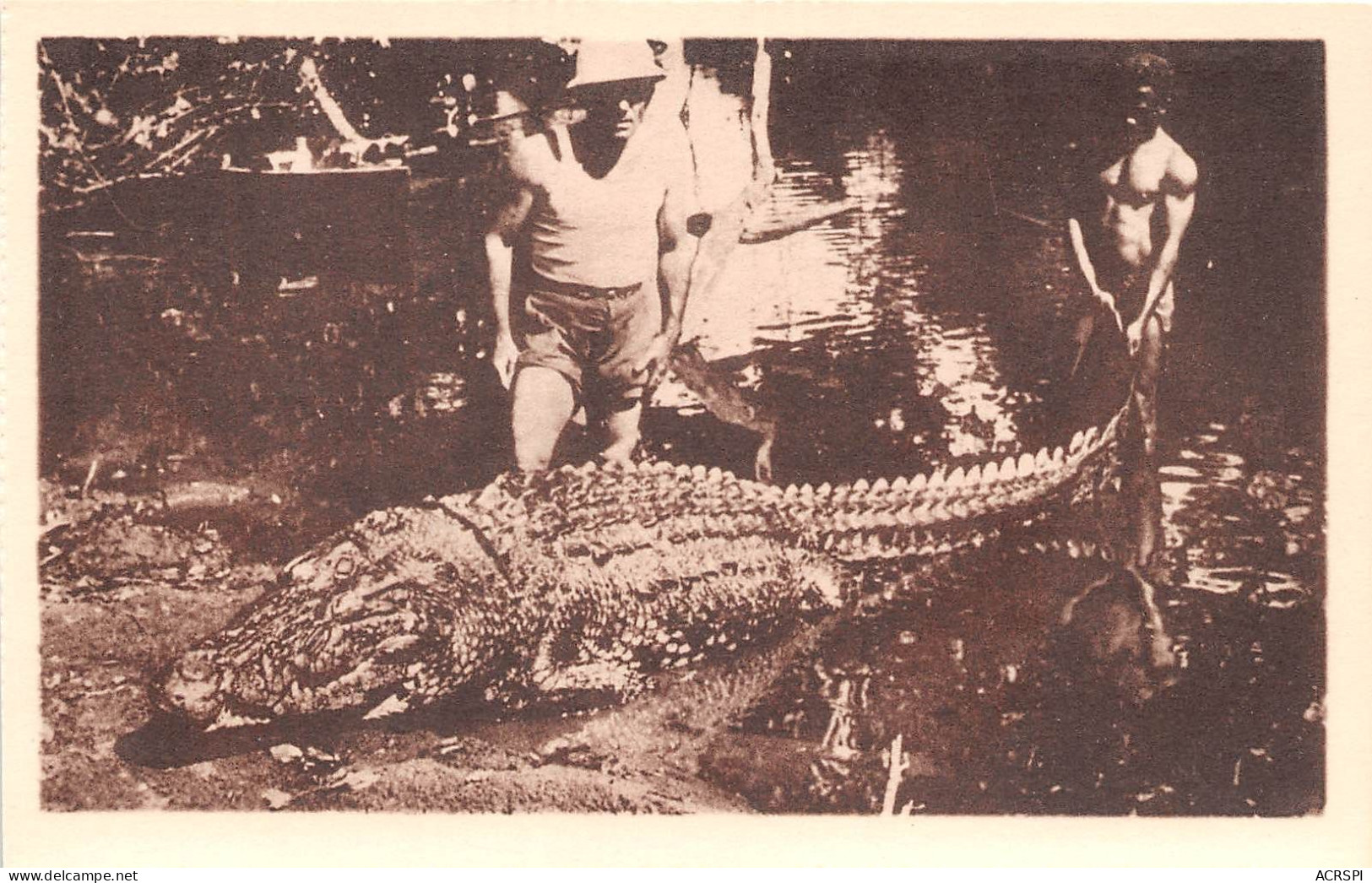 GUINEE FRANCAISE VIALLA FRANCOIS Capture D Un Caimans Crocodiles Mangeur D Hommes 9(scan Recto-verso) MA249 - Guinée Française