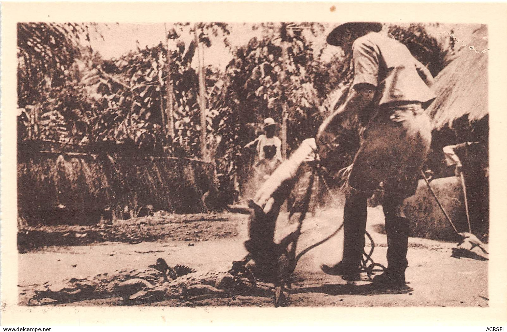 GUINEE FRANCAISE VIALLA FRANCOIS Dressage De Caimans Crocodiles 8(scan Recto-verso) MA249 - Guinée Française