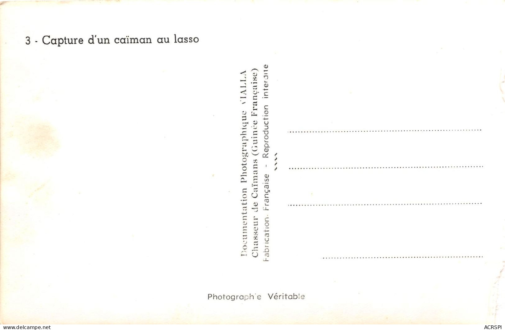 GUINEE FRANCAISE Capture D Un Caiman Au Lasso VIALLA Chasseur De Caimans 16(scan Recto-verso) MA239 - Guinée Française