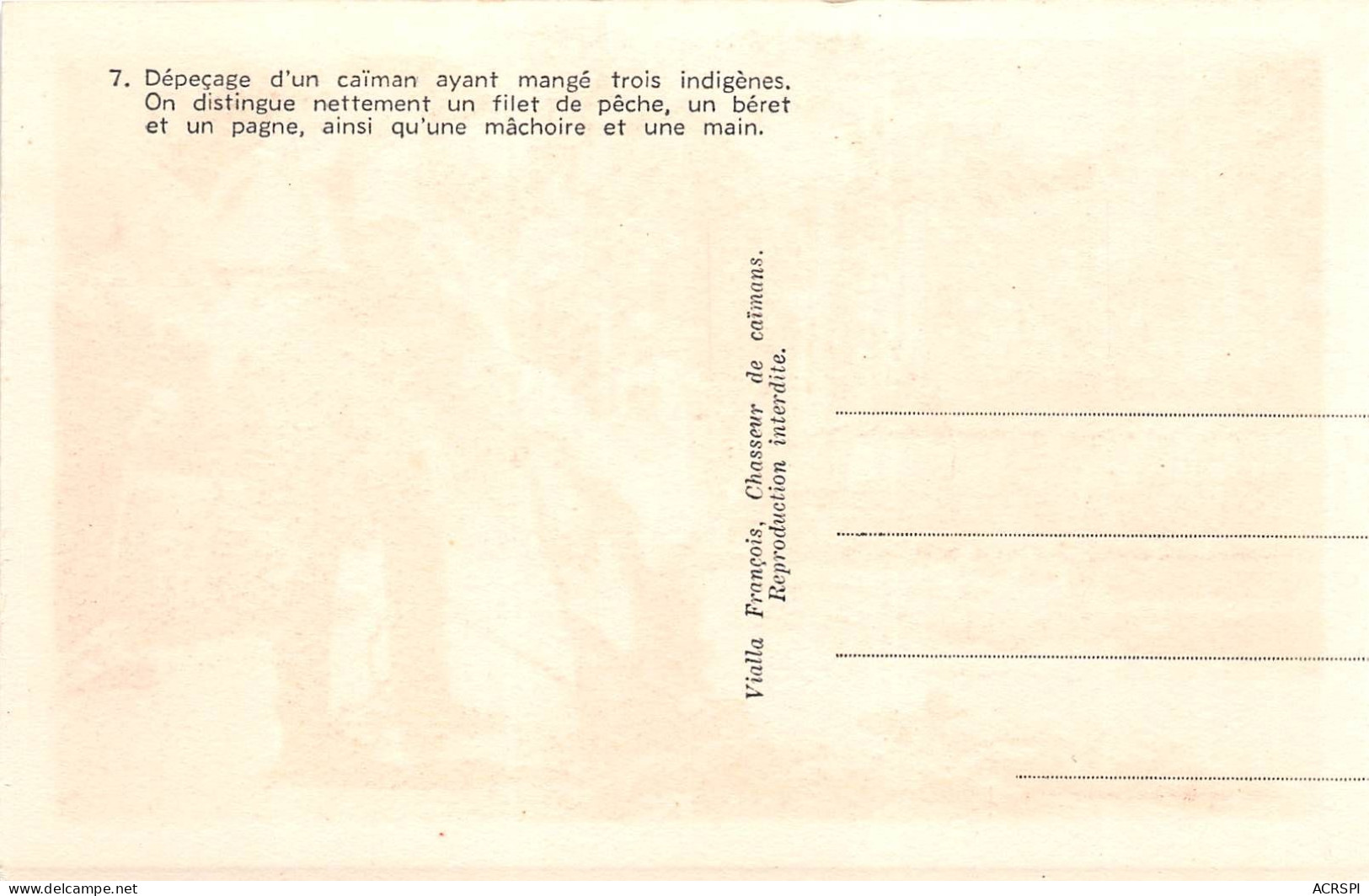 GUINEE FRANCAISE Depecage D Un Caiman Ayant Mange Trois Indigenes VIALLA 14(scan Recto-verso) MA239 - Guinée Française