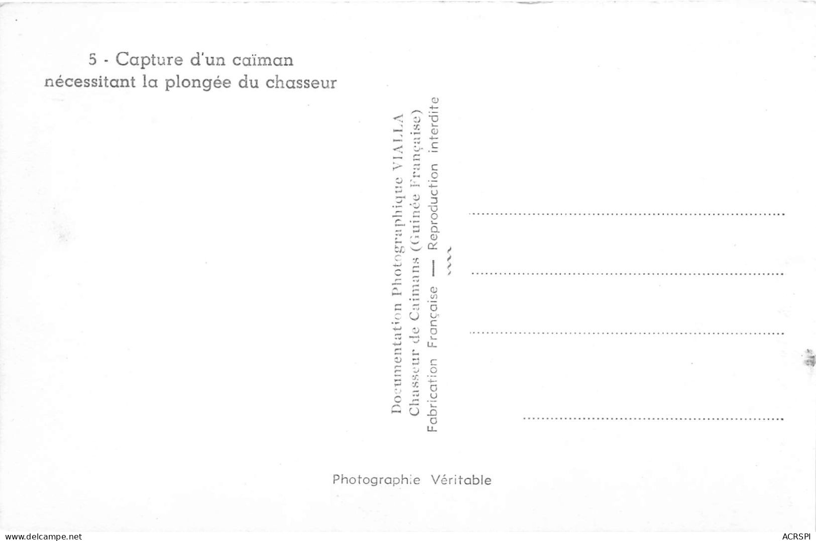 GUINEE FRANCAISE Capture D Un Caiman Necessitant La Plongee Du Chasseur F VIALLA 3(scan Recto-verso) MA239 - Guinée Française