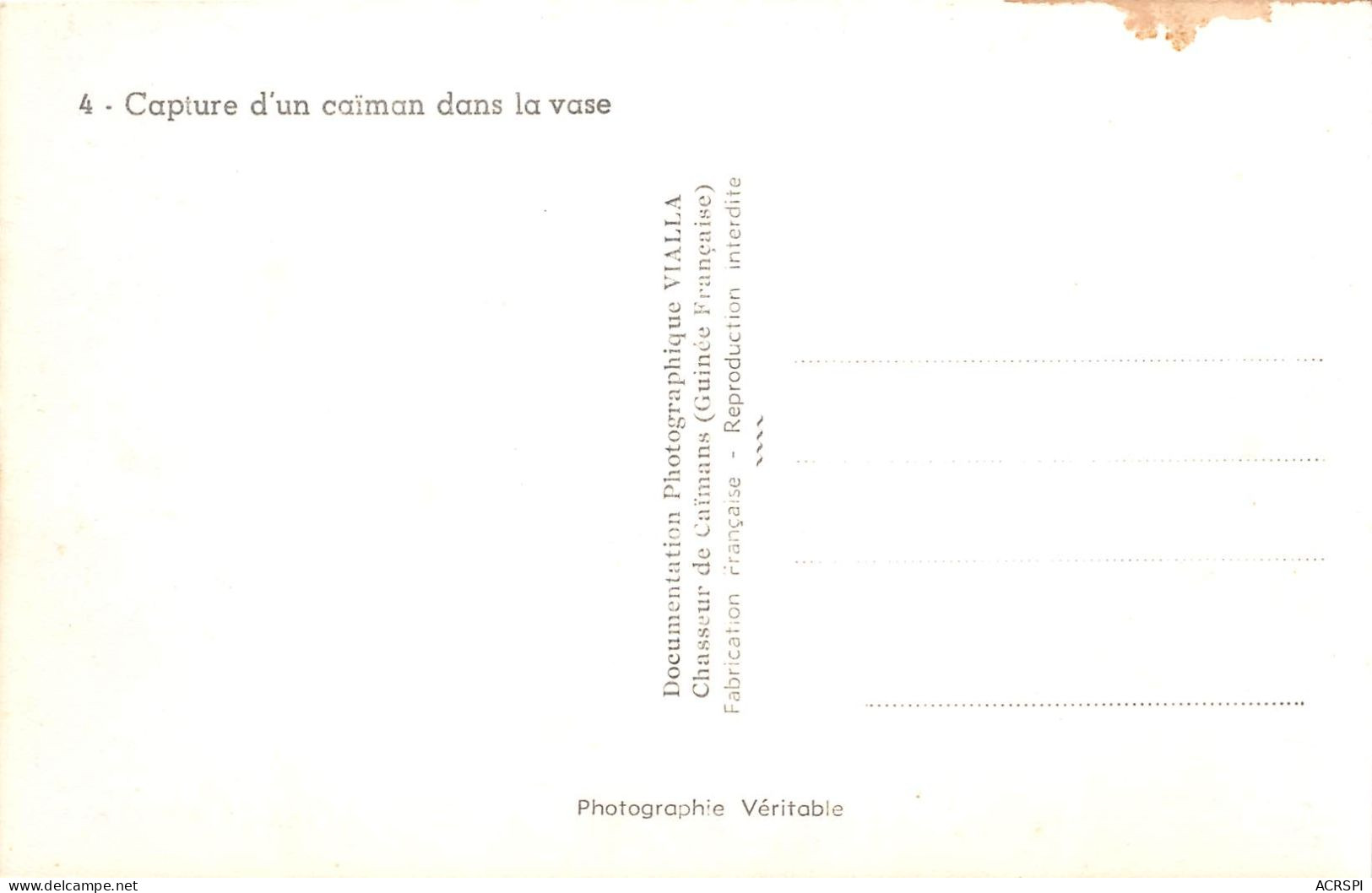 GUINEE FRANCAISE Capture D Un Caiman Dans La Vase F VIALLA Chasseur De Caimans 1(scan Recto-verso) MA239 - Guinée Française