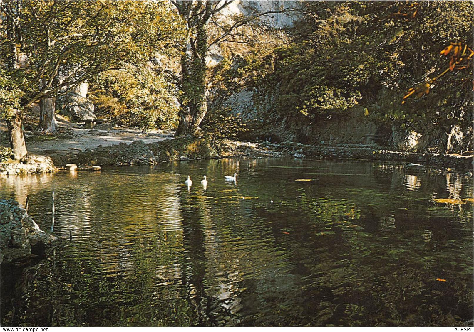 MALAUCENE Source Du Groseau Et Son Lac 20(scan Recto-verso) MA286 - Malaucene