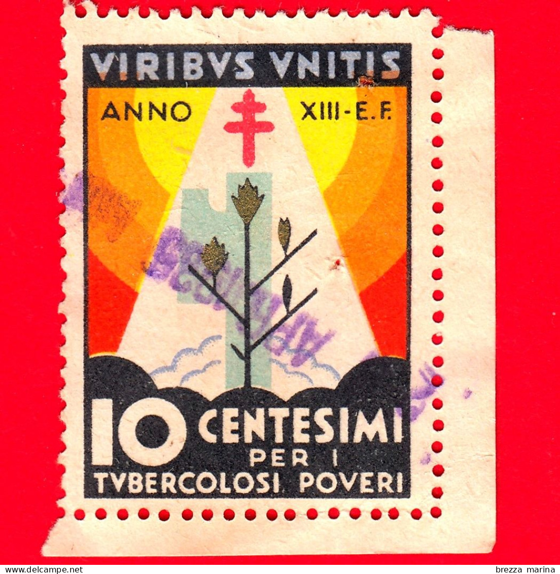 ITALIA - Chiudilettera - Erinnofilo - 1935 - Per I Tubercolosi Poveri - Viribus Unitis - TBC - 10 - Ziekte