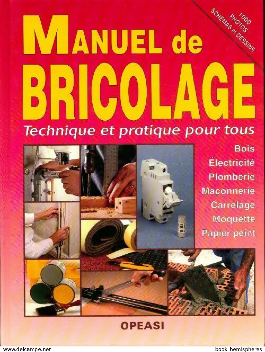 Manuel De Bricolage. Technique Et Pratique Pour Tous. Bois, électricité, Plomberie, Maçonnerie, Carre - Bricolage / Tecnica
