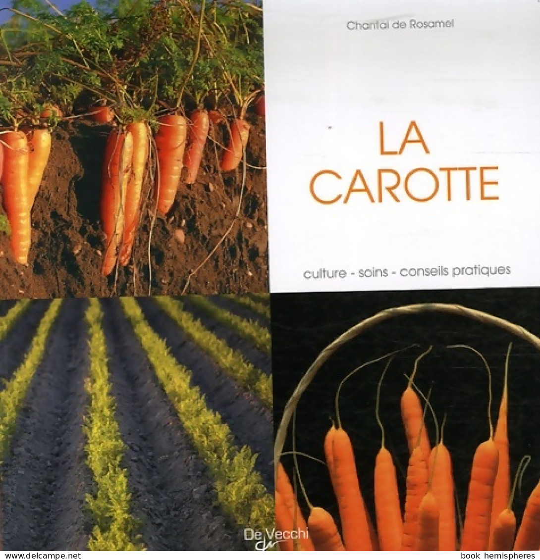 La Carotte (2007) De Chantal De Rosamel - Garden