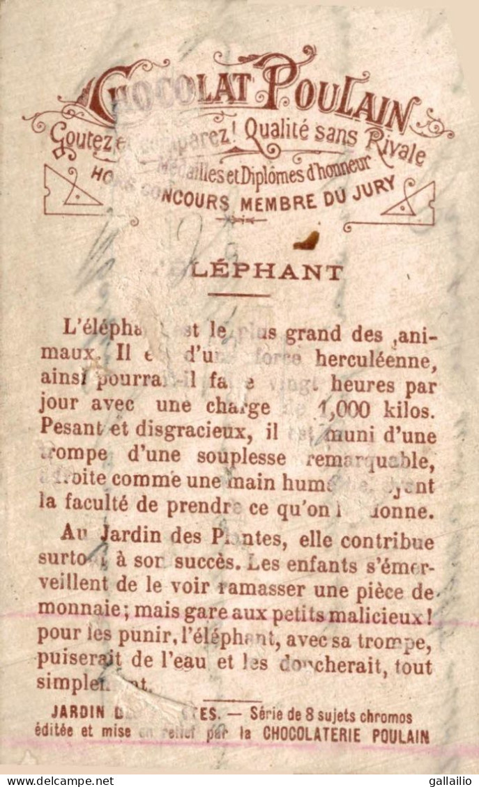 CHROMO CHOCOLAT POULAIN L'ELEPHANT - Poulain