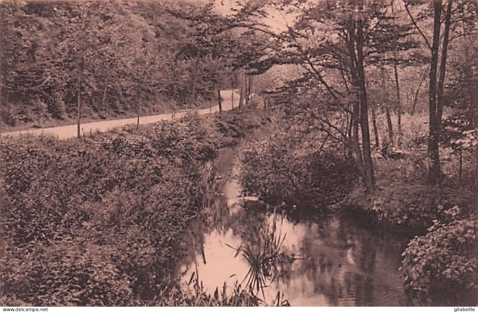 Profondeville  - BURNOT RIVIERE - Une Vue De La Vallée Du Burnot - Profondeville