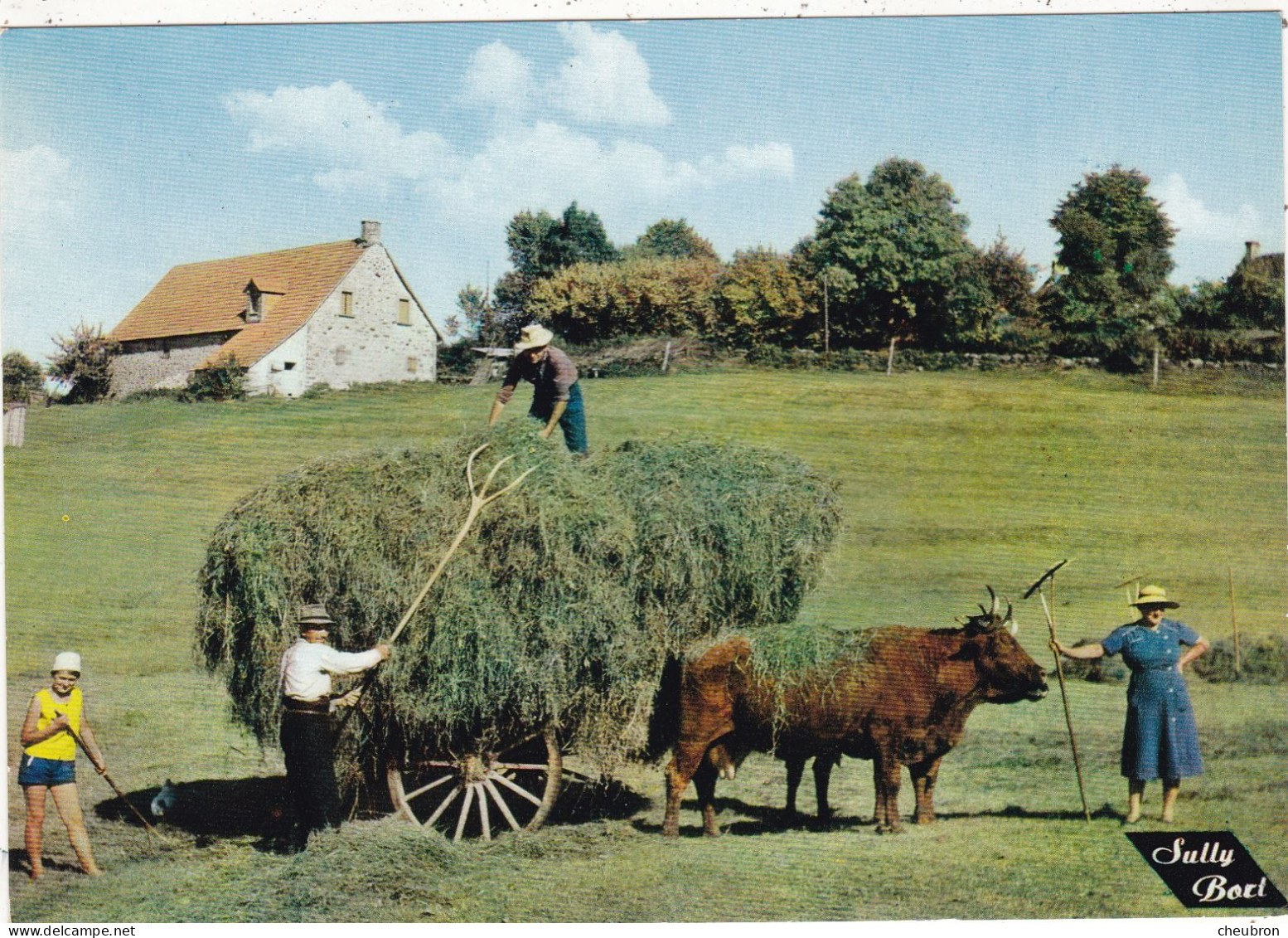 AGRICULTURE.  FENAISON.  " LE TEMPS DES FOINS ". .ATTELAGE DE BOEUFS .CHARGEMENT DE LA CHARETTE - Cultures