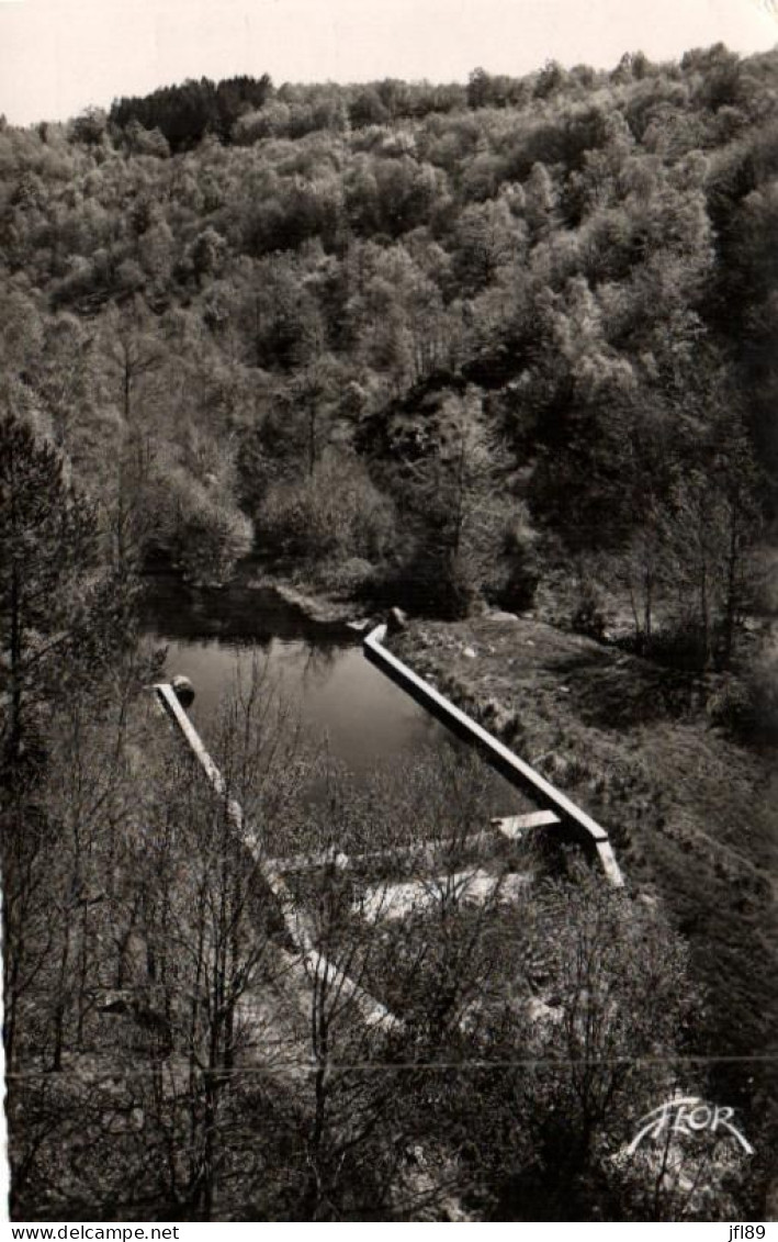 23 - Creuse - Bourganeuf  Le Verger, La Piscine - 6311 - Bourganeuf