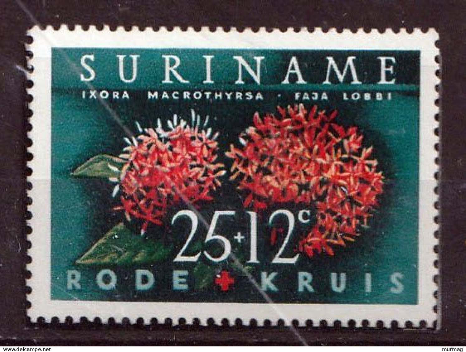 SURINAME - Flore, Ixora à Grands Thyrses - Y&T N° 370 - 1962 - MNH - Surinam