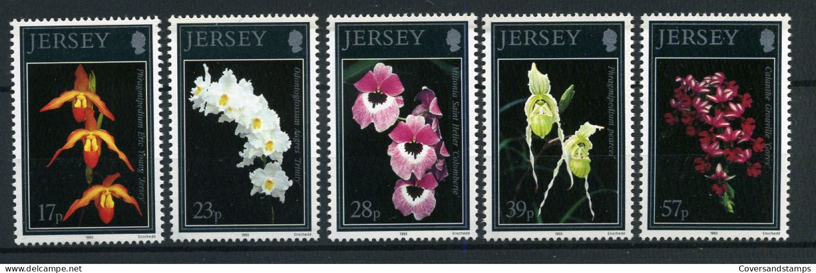 Jersey 1993 Orchids 5v - Flowers & Plants - MNH ** - Jersey