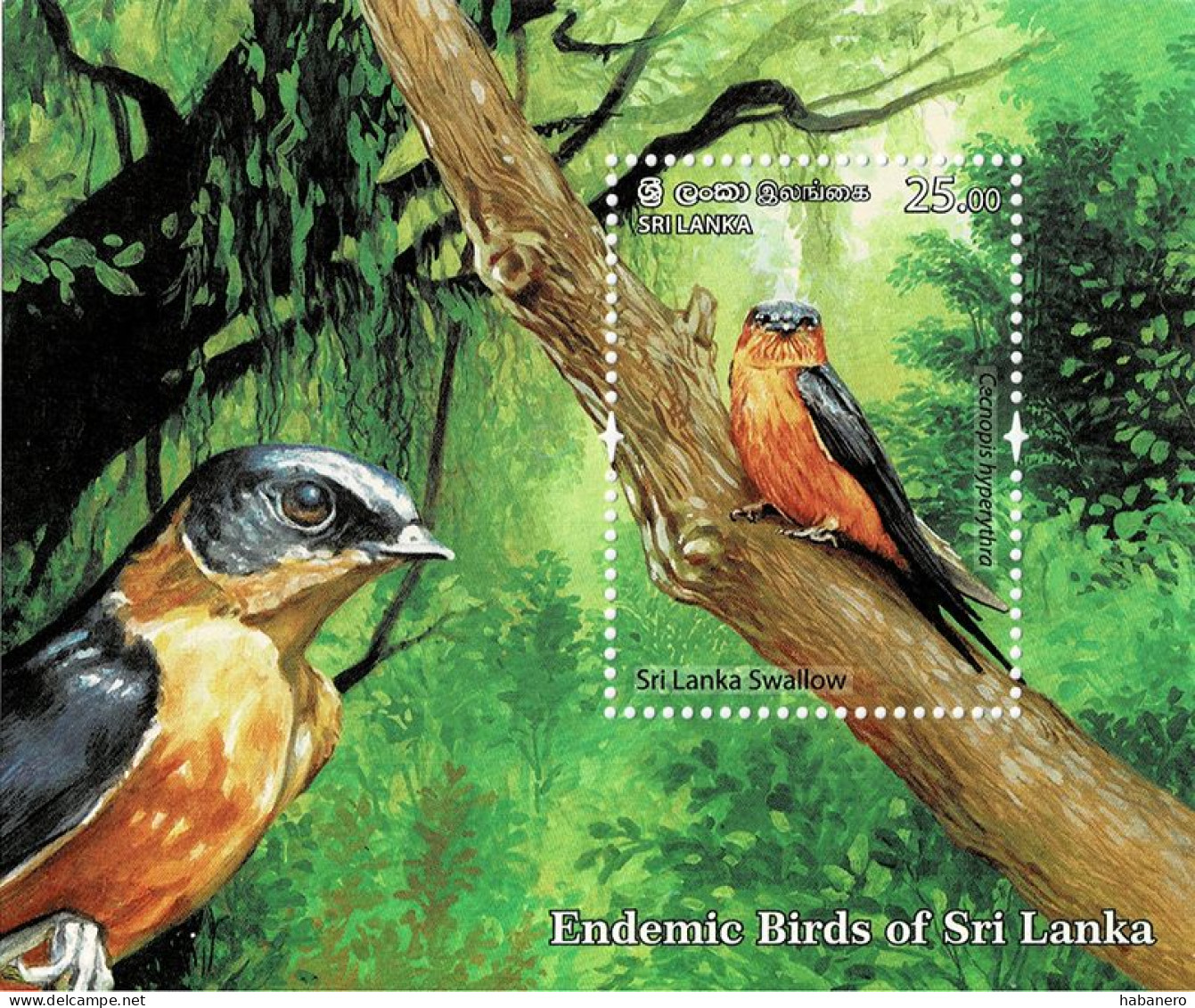 SRI LANKA 2021 Mi BL 213 - BL 218 ENDEMIC BIRDS 6 X MINT MINIATURE SHEETS ** - Sri Lanka (Ceylon) (1948-...)