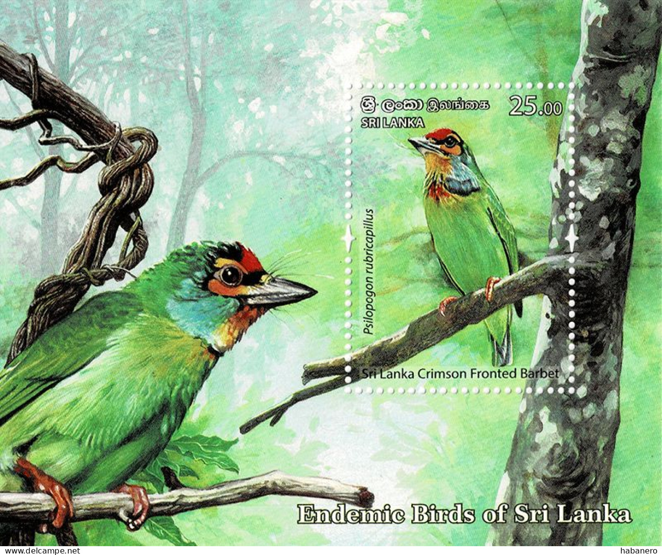 SRI LANKA 2021 Mi BL 213 - BL 218 ENDEMIC BIRDS 6 X MINT MINIATURE SHEETS ** - Sri Lanka (Ceylan) (1948-...)