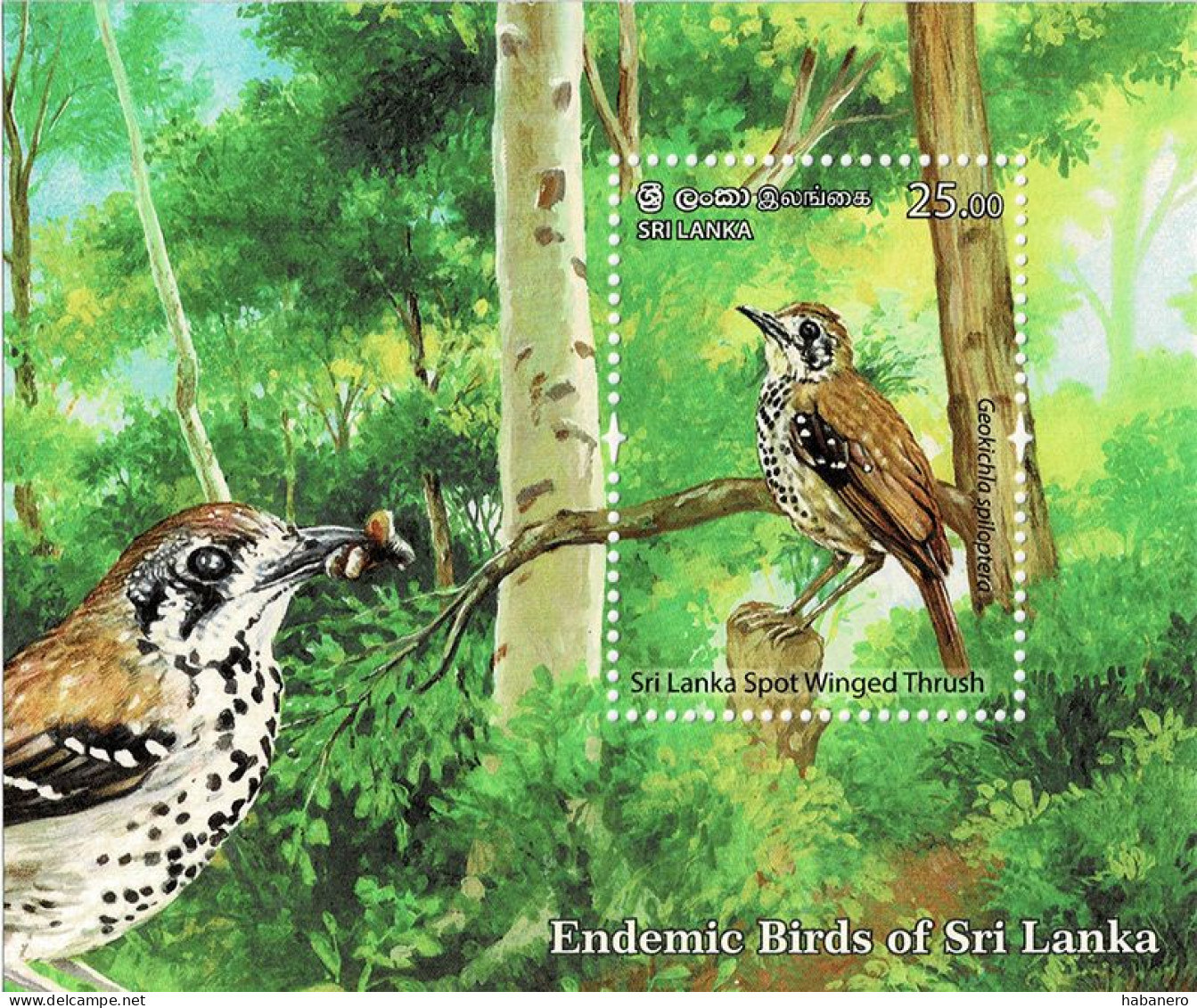 SRI LANKA 2021 Mi BL 213 - BL 218 ENDEMIC BIRDS 6 X MINT MINIATURE SHEETS ** - Sri Lanka (Ceylon) (1948-...)