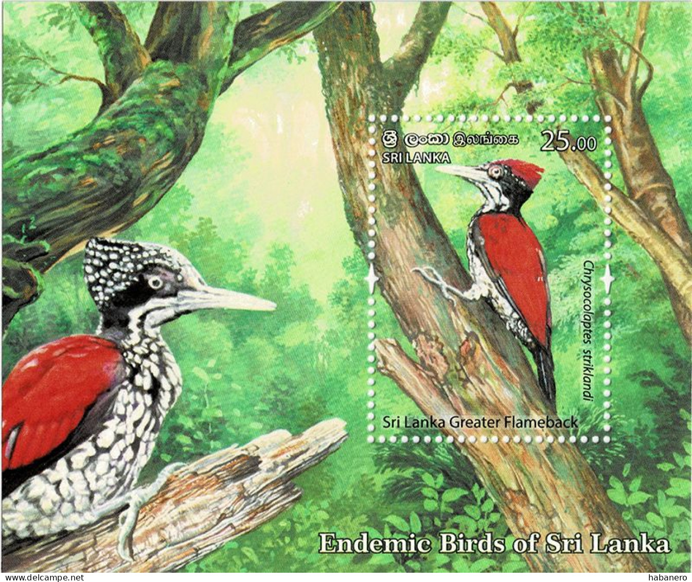 SRI LANKA 2021 Mi BL 213 - BL 218 ENDEMIC BIRDS 6 x MINT MINIATURE SHEETS **