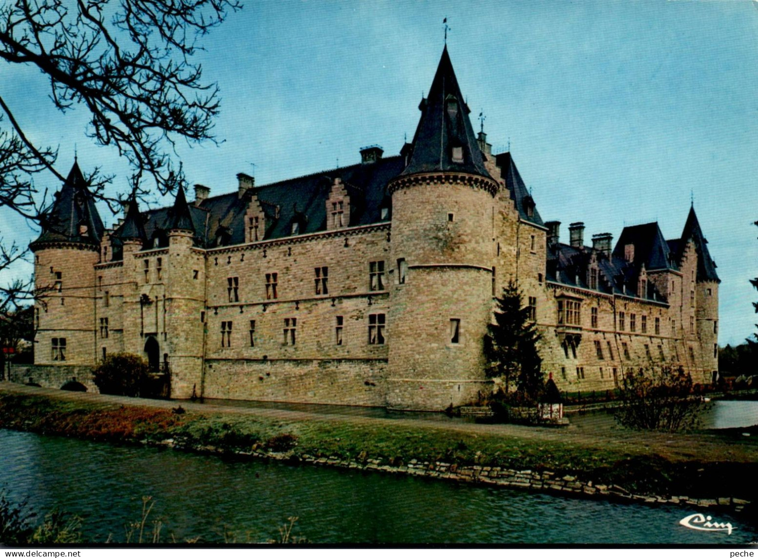 N°1009 Z -cpsm Château Forteresse De Fallais - Châteaux