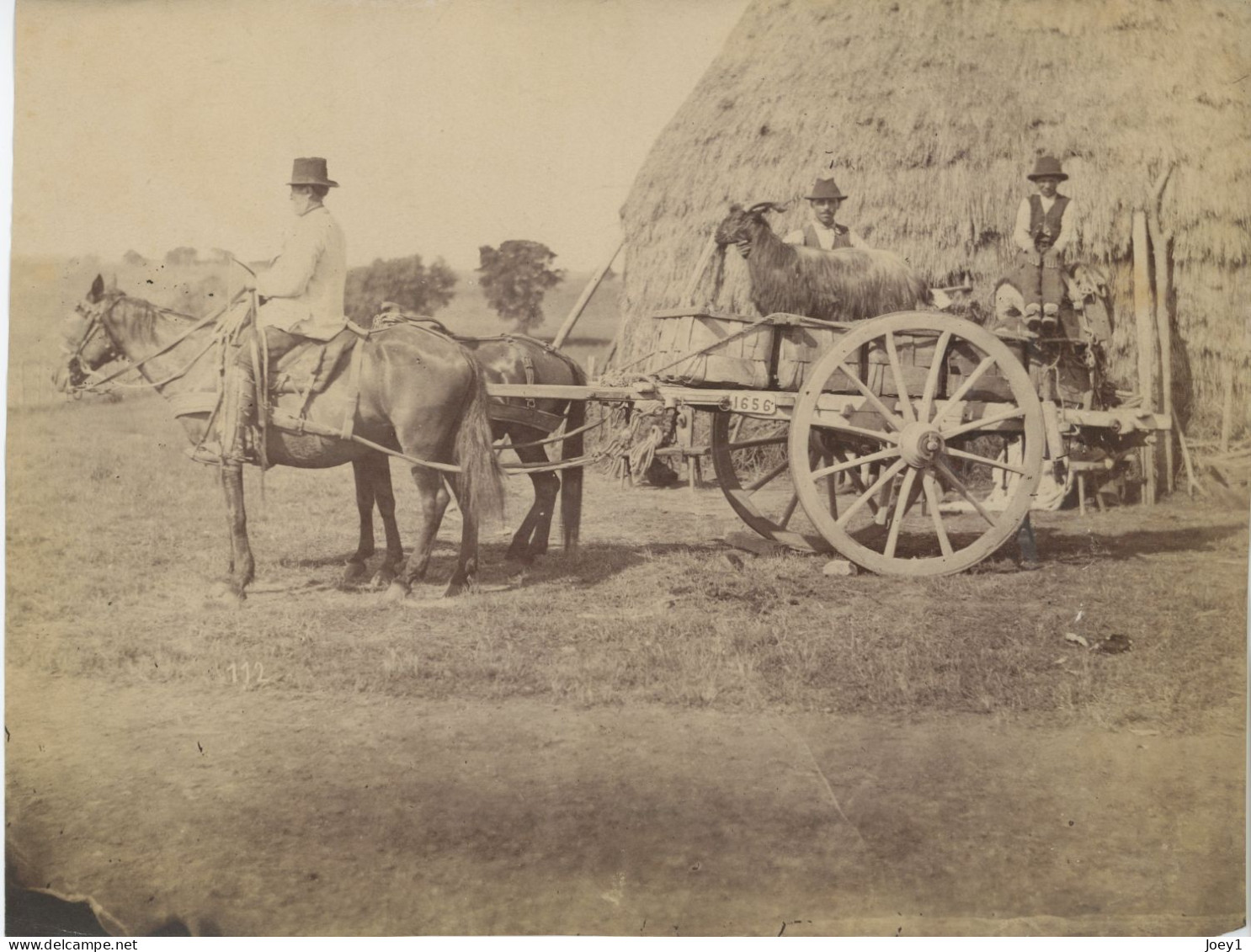 Photo  Paysan Sur Son Cheval Avec Bouc Sur La Charette Photo Albuminée Format 18/24 - Anciennes (Av. 1900)