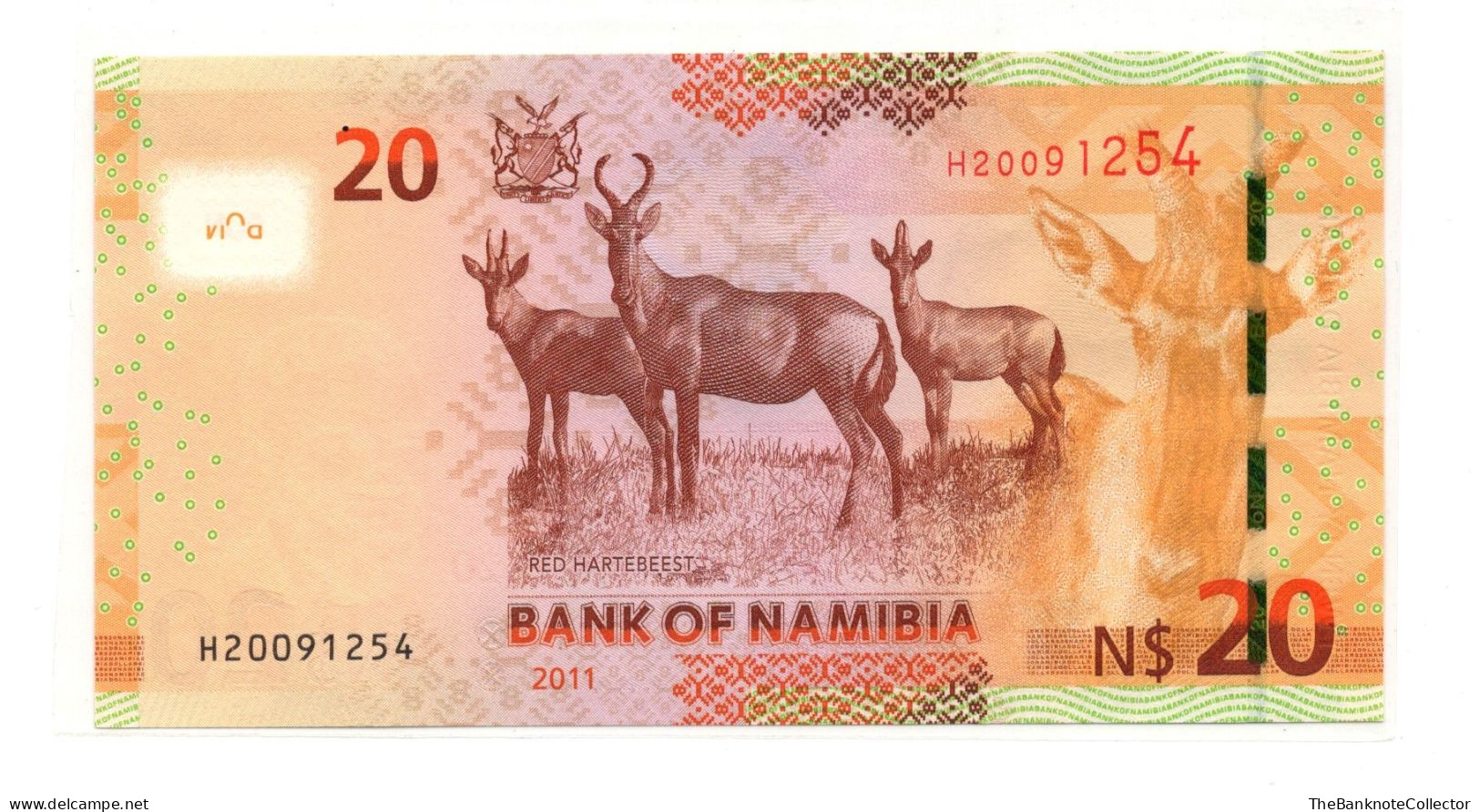 Namibia 20 Dollars 2013 P-17 UNC - Namibia