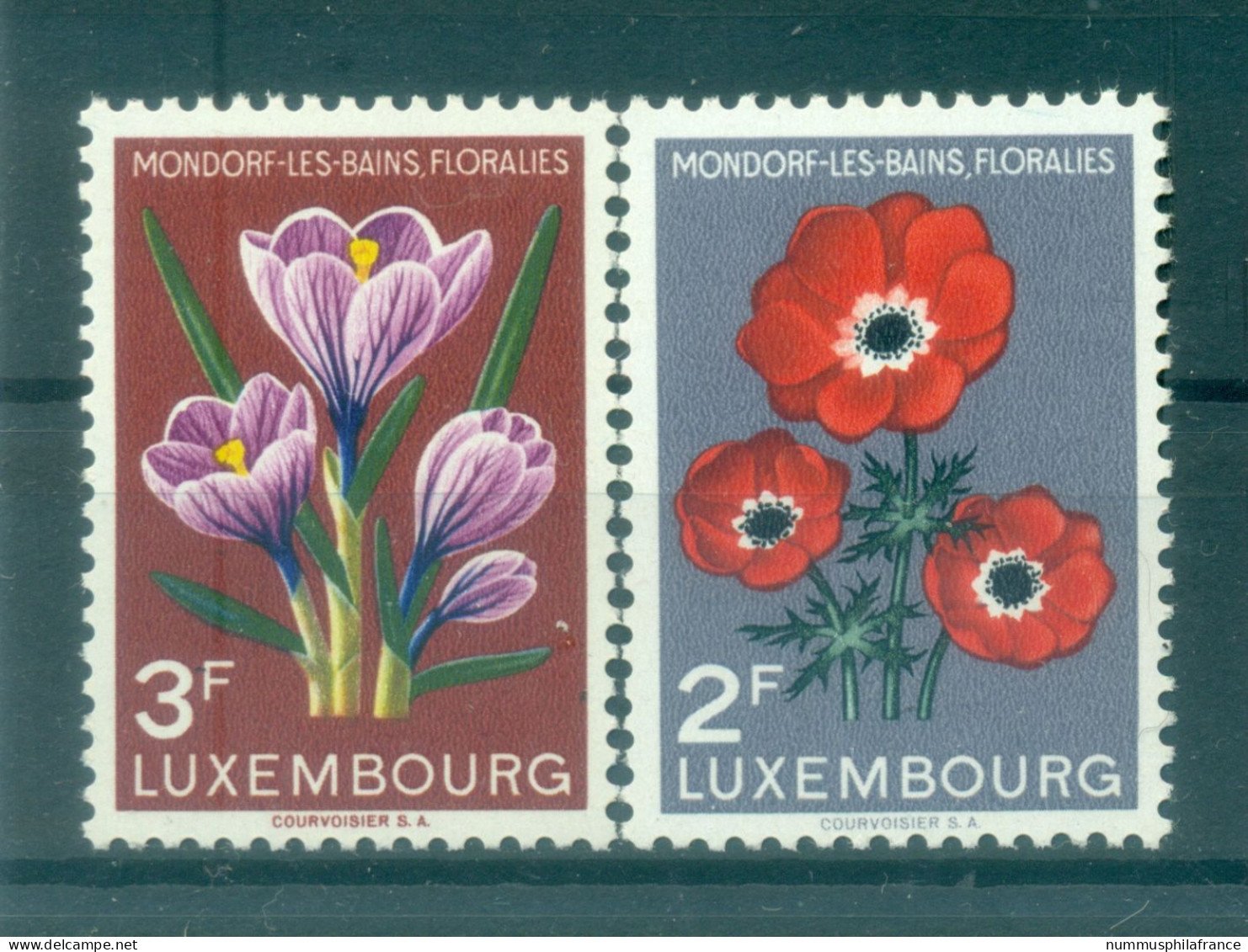 Luxembourg 1956 - Y & T N. 506/07 - Floralies De Mondorf-les-Bains  (Michel N. 547/48) - Ungebraucht