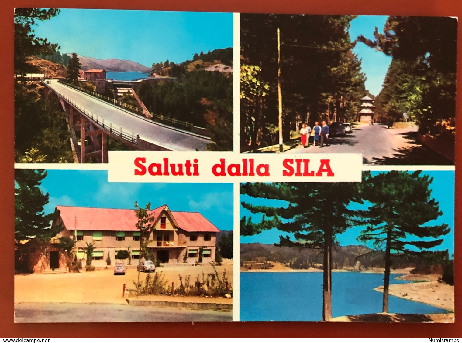 SILA - Altopiano Dell'Appennino Calabro - 1968 (c499) - Other & Unclassified