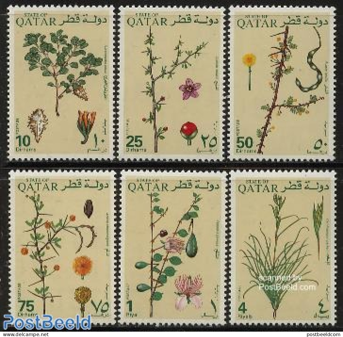 Qatar 1991 Flora 6v, Mint NH, Nature - Flowers & Plants - Qatar