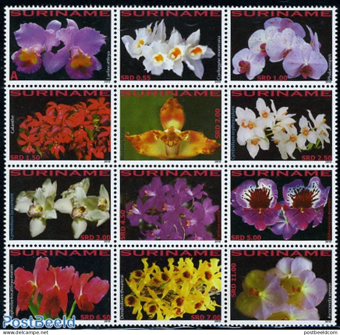 Suriname, Republic 2010 Orchids 12v, Sheetlet, Mint NH, Nature - Flowers & Plants - Orchids - Suriname